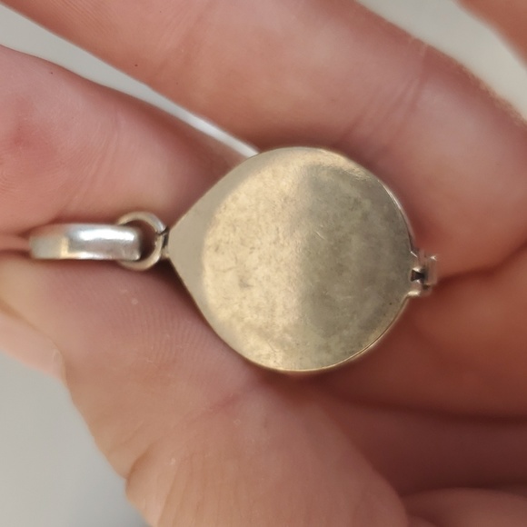 New Iron Tiger Eye Silver Poison Locket Pendant. - Picture 5 of 8